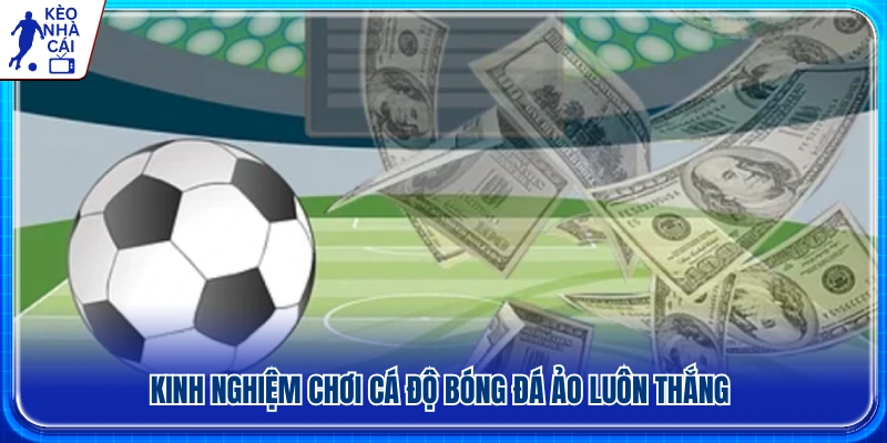Kinh nghiệm cá độ bóng đá ảo và quản lý rủi ro hiệu quả