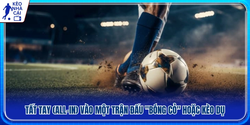 Rủi ro khi tất tay vào các trận bóng cỏ hoặc kèo dụ