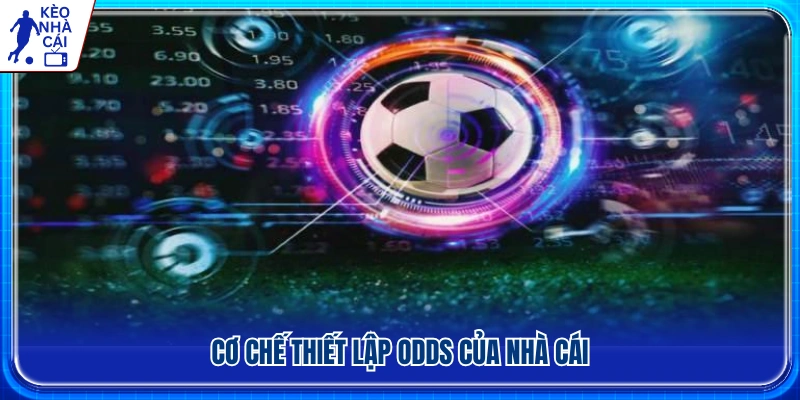 Nhà cái thiết lập odds dựa trên những yếu tố nào?