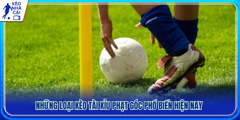 Các hình thức cược tài xỉu phạt góc thường gặp