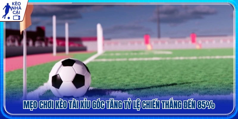 Kinh nghiệm chơi kèo tài xỉu góc hiệu quả hơn