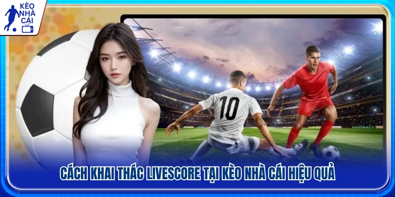Hướng dẫn sử dụng Livescore tại Kèo Nhà Cái chi tiết nhất